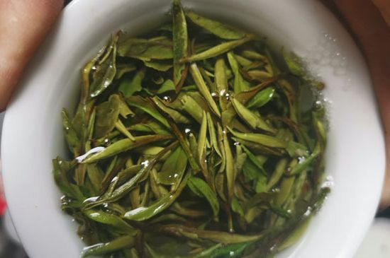 什么人不能喝白茶，白茶不宜什么人喝？