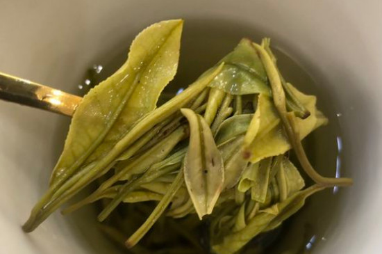 新舊白茶怎么區(qū)分，怎么分辨白茶是新還是舊