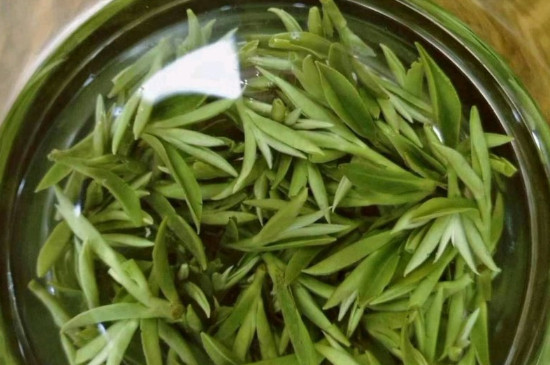 什么綠茶茶葉唇齒留香，哪個品種綠茶香氣好？