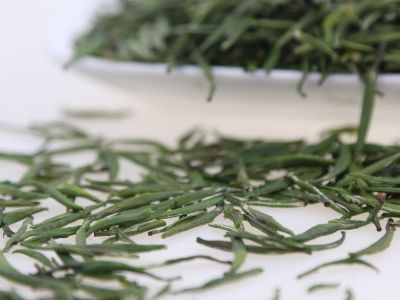 霍山黃芽算是好茶嗎，霍山黃芽屬于什么茶？