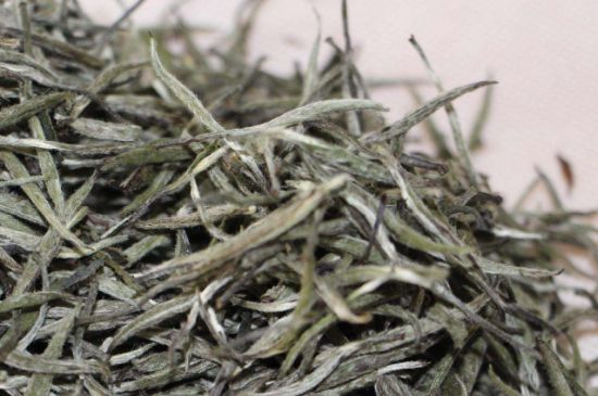 什么人不能喝白茶，白茶不宜什么人喝？