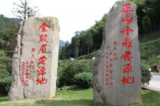 300塊錢的金駿眉能喝嗎，兩三百多金駿眉和一千多區(qū)別