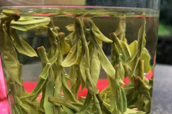 什么綠茶最香最好喝，綠茶口感與香氣排名