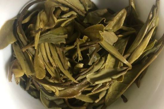 三年白茶賽砒霜，這是真的嗎？