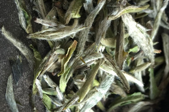 白毫銀針年份久的有什么香，陳年白毫銀針的香氣