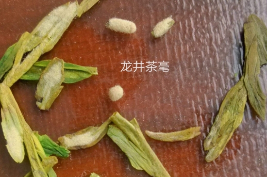 西湖龍井茶毫和發(fā)霉區(qū)別圖片，長霉的龍井茶葉會是什么樣？