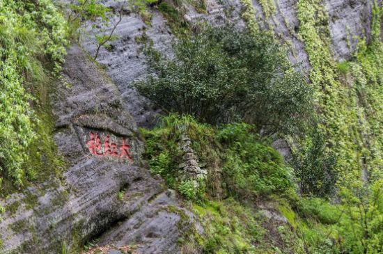 大紅袍為什么沒保質期，武夷巖茶大紅袍能放幾年？