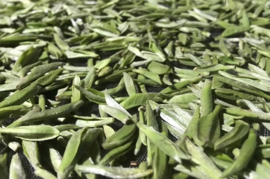 白毫銀針年份久的有什么香，陳年白毫銀針的香氣