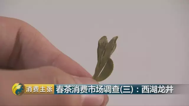 龍井群體種和43號(hào)的區(qū)別圖片，龍井43和群體種哪個(gè)好喝？