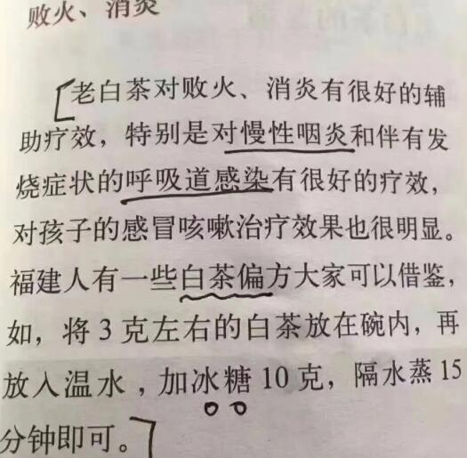 老白茶上火還是去火？夏季喝煮的老白茶會容易上火！