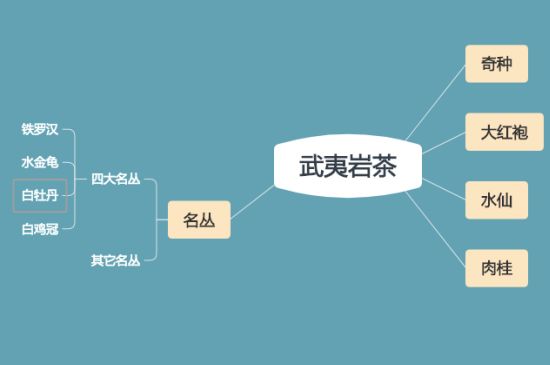 武夷巖茶品種大全，巖茶有幾種？