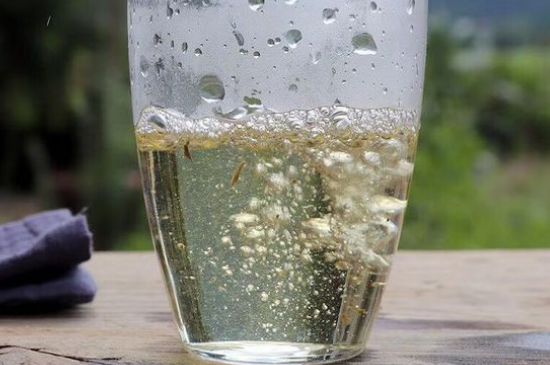 三年白茶賽砒霜，這是真的嗎？