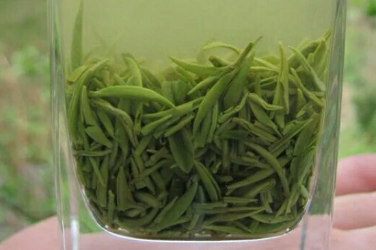 什么綠茶茶葉唇齒留香，哪個品種綠茶香氣好？