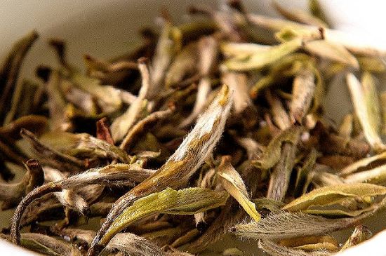 荒野銀針市場價(jià)多少，真正的荒野白毫銀針多少錢？