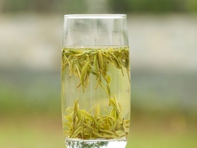 霍山黃芽算是好茶嗎，霍山黃芽屬于什么茶？