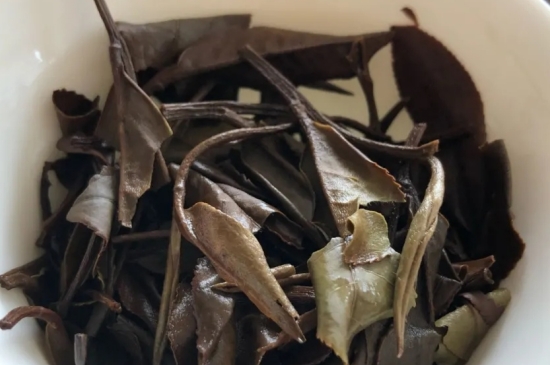 老白茶上火還是去火？夏季喝煮的老白茶會容易上火！