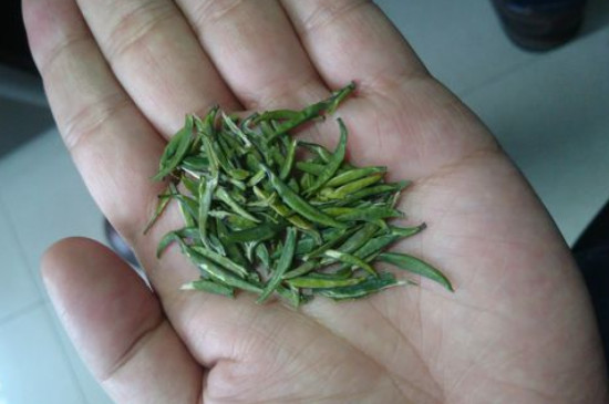 竹葉青茶怎么泡，竹葉青如何沖泡