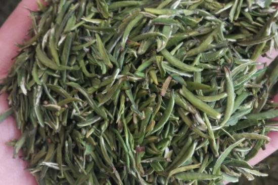 金壇雀舌算不算好茶，金壇雀舌屬于什么檔次茶葉？