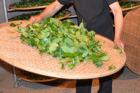 鐵觀音加香精騙局，鐵觀音的香味是添加香精了嗎？