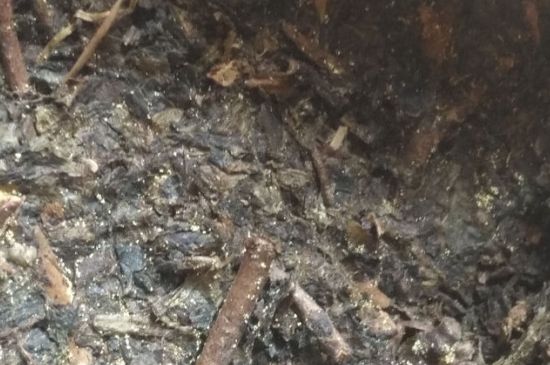 黑茶茯茶保存五大忌，茯茶收藏的注意事項