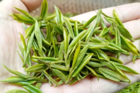 什么是雪前龍井茶，明前、雨前、雨后龍井有什么區(qū)別？