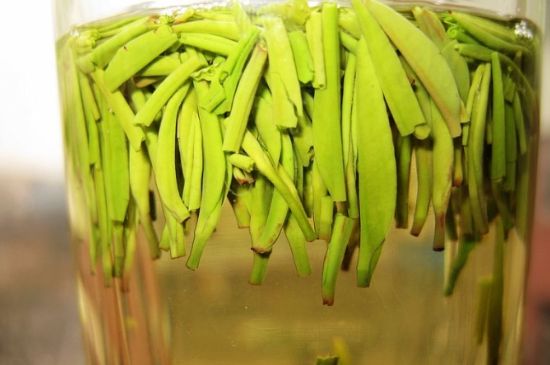 雀舌為何喝著是苦的，雀舌味道怎么那么苦澀？