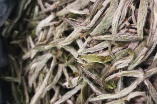 白毫銀針年份越久越好嗎，銀針白毫是否越陳越好