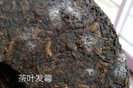 西湖龍井茶毫和發(fā)霉區(qū)別圖片，長霉的龍井茶葉會是什么樣？
